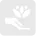 ilium intro