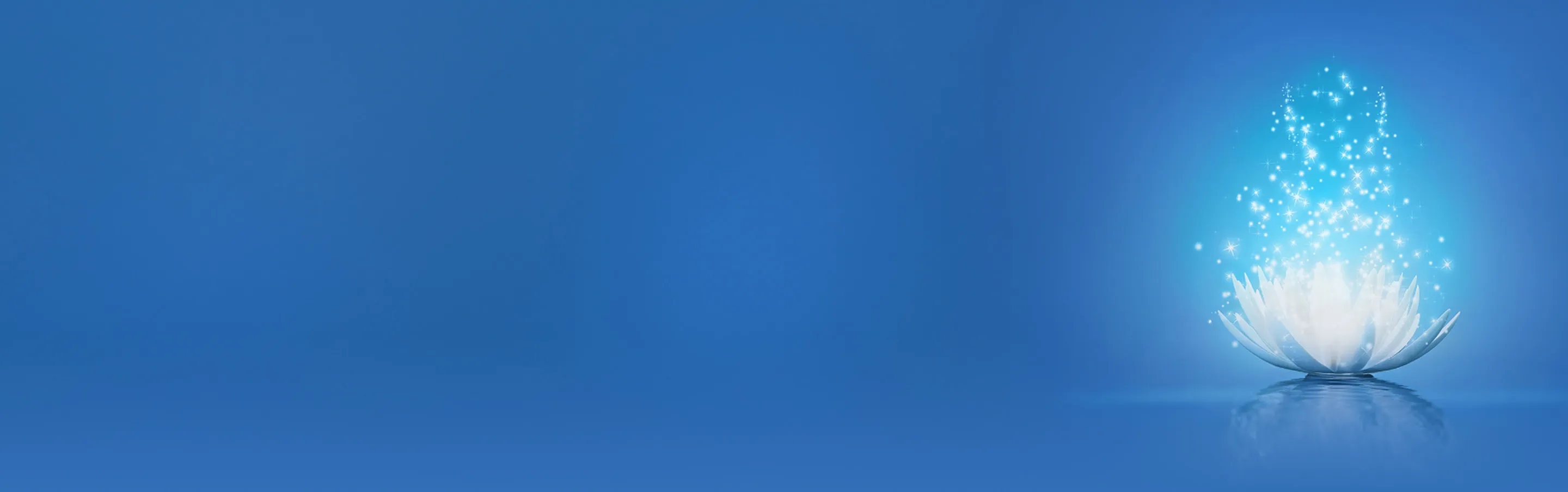 footer bg