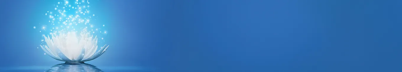 banner image