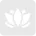 ilium intro